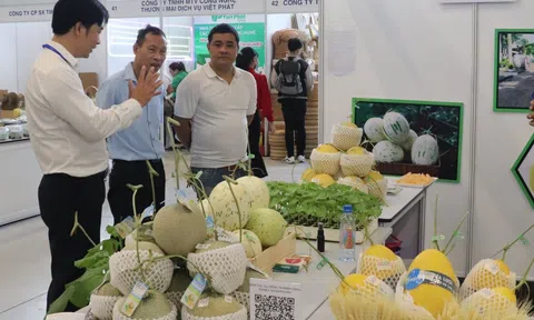 Thương mại điện tử rút ngắn khoảng cách sản phẩm OCOP với người tiêu dùng