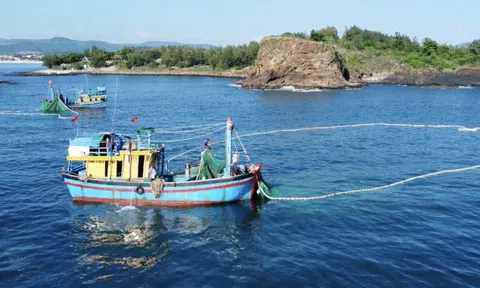 Động lực để Phú Yên phát triển kinh tế xanh từ lợi thế biển