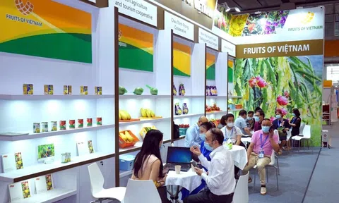 Bộ Công thương cắt giảm, đơn giản hóa 13 thủ tục hành chính trong năm 2024