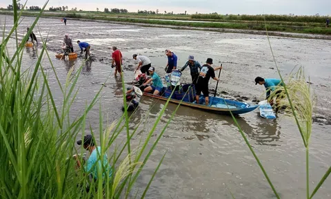 Ngành tôm Việt Nam vượt thách thức trên lộ trình phát triển xanh bền vững
