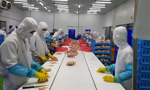 Xuất khẩu thịt tăng mạnh và cơ hội thúc đẩy xuất khẩu thịt gia cầm sang thị trường Trung Quốc