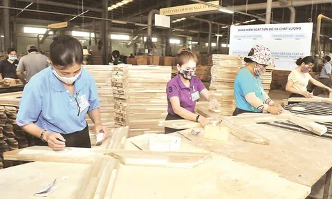 Ngành gỗ cần chuyển biến vượt bậc theo xu hướng tăng trưởng xanh bền vững
