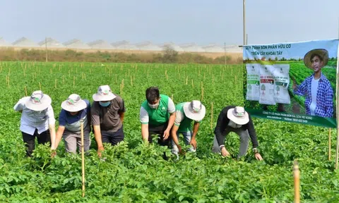 Nông nghiệp xanh mấu chốt từ sử dụng phân bón hữu cơ, thuốc bảo vệ thực vật sinh học