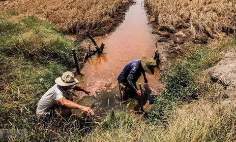 Tập trung ứng phó đợt xâm nhập mặn cao điểm tại Đồng bằng sông Cửu Long