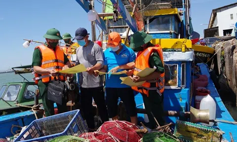Chuẩn bị đợt thanh tra thẻ vàng thủy sản, nhiệm vụ gỡ "thẻ vàng" IUU đang cấp thiết hơn bao giờ hết