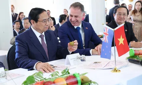 Việt Nam kỳ vọng đẩy mạnh hợp tác đầu tư nông nghiệp công nghệ cao với New Zealand