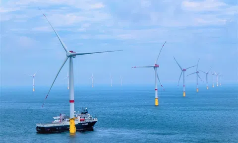 Tập đoàn đa quốc gia hợp tác phát triển các dự án điện gió ngoài khơi tại Việt Nam
