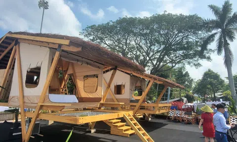 Động lực giúp ngành gỗ lấy lại đà tăng trưởng xuất khẩu đạt 20 tỷ USD vào năm 2025