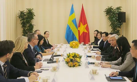 Sẵn sàng chào đón doanh nghiệp Thụy Điển đầu tư trong lĩnh vực chuyển đổi số, phát triển xanh