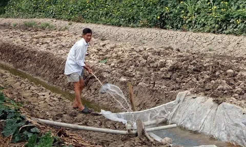 Khẩn trương chống hạn mặn không để dân thiếu nước sinh hoạt và không có nước cho sản xuất