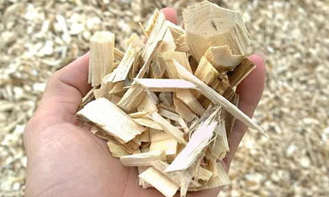 Phụ phẩm dăm gỗ, viên nén đạt kim ngạch xuất khẩu gần 3 tỷ USD và bài toán nguyên liệu đầu vào