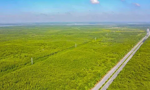 Canada sẵn sàng hỗ trợ Việt Nam giảm phát thải và phát triển thị trường các bon