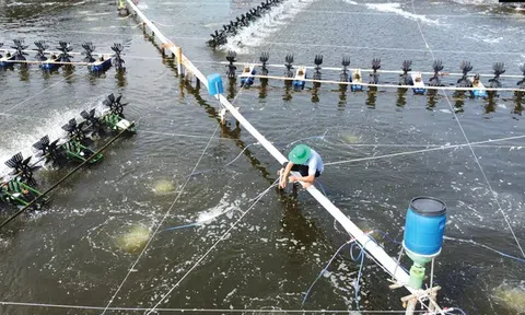 Thúc đẩy tài trợ giảm thiểu chất thải rắn từ nông nghiệp, cải thiện chất lượng môi trường ở ĐBSCL