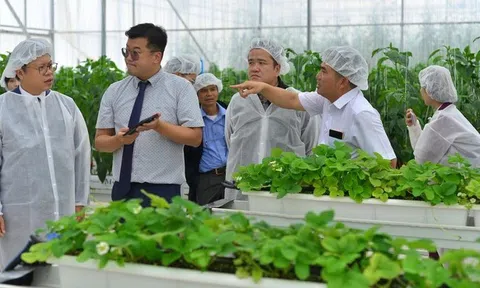 Hợp tác nông nghiệp Việt Nam - Hàn Quốc ưu tiên tăng trưởng xanh, liên kết chuỗi