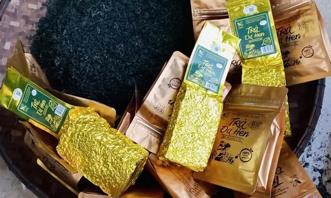 Năm 2024, tỉnh Phú Thọ dành 11,8 tỷ đồng phát triển các sản phẩm OCOP chủ lực