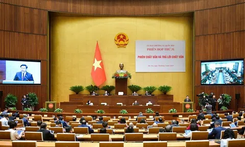 Ủy ban Thường vụ Quốc hội chất vấn và trả lời về nhóm vấn đề thuộc lĩnh vực tài chính