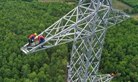 Quy định mới về tạm sử dụng rừng phục vụ thi công dự án lưới điện vì lợi ích quốc gia, công cộng