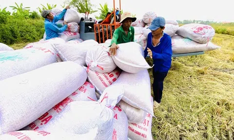 Năm 2024 nhiều dư địa để Việt Nam xuất khẩu gạo vượt mốc 5 tỷ USD