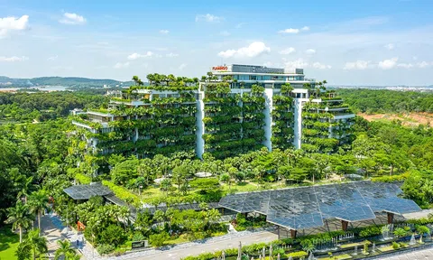 Việt Nam lấy tăng trưởng xanh làm cốt lõi, kiên quyết không chấp nhận mô hình “tăng trưởng trước, dọn dẹp sau”