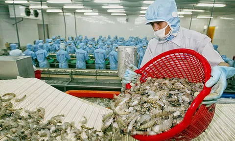 Hội chợ triển lãm quốc tế kỳ vọng tạo sức bật để ngành tôm cán đích 4 tỷ USD xuất khẩu