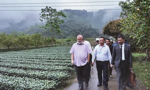 Kỳ vọng tạo đột phá trong hợp tác nông nghiệp, môi trường giữa Việt Nam và Cộng hòa Séc