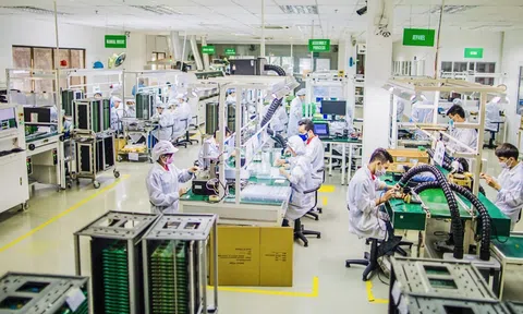 Việt Nam sẵn sàng tạo điều kiện để doanh nghiệp Hoa Kỳ đầu tư vào các lĩnh vực kinh tế xanh