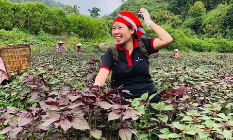 Nông nghiệp Việt Nam có cơ hội tiếp tục bứt phá nhờ đặt trọng tâm vào tăng trưởng xanh