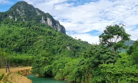 Đề xuất phương án thí điểm đấu giá 4,91 triệu tấn CO2 trên sàn giao dịch quốc tế