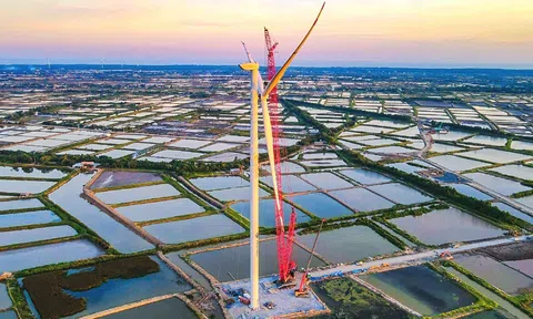 Tập đoàn năng lượng hàng đầu Hàn Quốc hợp tác phát triển điện mặt trời và điện gió ở Việt Nam