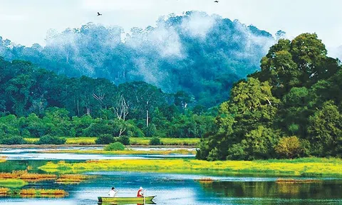 Đi tiên phong phát triển xanh, Đồng Nai quyết tâm giảm lượng phát thải khí nhà kính về 0 vào năm 2050