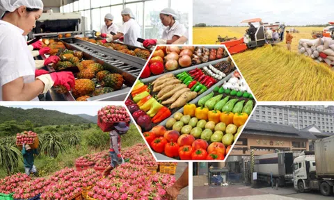 Nông sản xuất khẩu tăng tốc lập đỉnh xuất siêu gấp đôi so với cùng kỳ