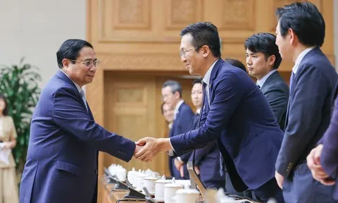 Liên đoàn kinh tế lớn nhất Nhật Bản sẽ đồng hành hỗ trợ Việt Nam chuyển đổi năng lượng xanh