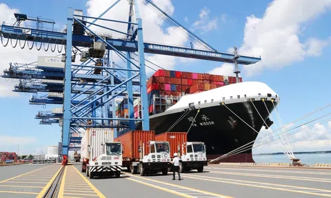 Ba tháng đầu năm, Việt Nam xuất siêu 8,08 tỷ USD, thêm 36,2 nghìn doanh nghiệp mới