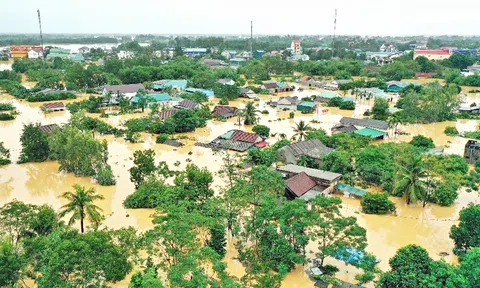 Ngành nông nghiệp chủ động ứng phó các đợt thiên tai giảm thiệt hại các tình huống khẩn cấp