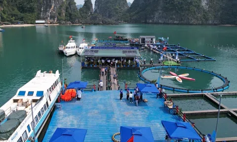 Vai trò của doanh nghiệp trong liên kết để nâng tầm giá trị nuôi biển