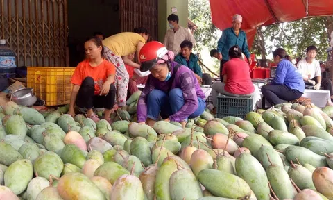 Sơn La triển khai nhiều giải pháp kích cầu tiêu thụ nông sản