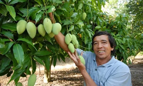 Chuyển động vùng cây ăn trái An Giang hướng tới các thị trường chất lượng cao