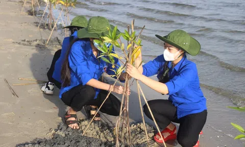 Vì sao các địa phương vẫn gặp khó trong bố trí và quản lý vốn phát triển tăng trưởng xanh?