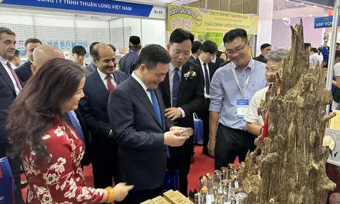 Hàng ngoại chen chân với hàng Việt tại Vietnam Expo 2024