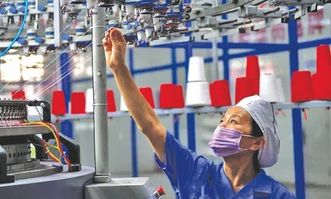 “5 quyết tâm,” “5 bảo đảm” và “5 đẩy mạnh” phấn đấu đạt mục tiêu tăng trưởng 6,5% năm 2024