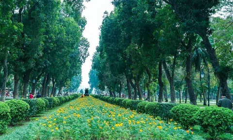 Cần có thêm lực đẩy từ chính sách để phát triển tín dụng xanh, trái phiếu xanh