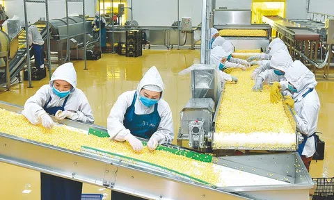 Dự báo 2 kịch bản tăng trưởng kinh tế năm 2024 với nhiều điểm tích cực