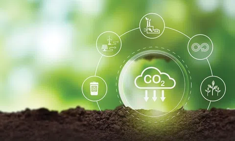 Công bố 3 công ty kinh doanh tín chỉ carbon lớn nhất thế giới được dán nhãn 'uy tín'