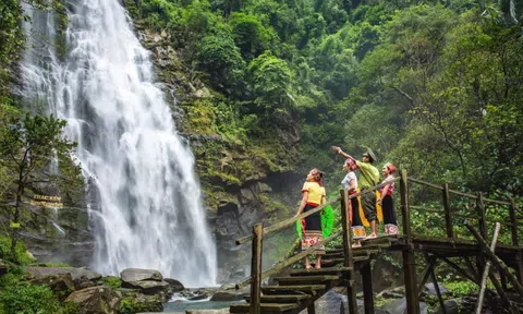 Để xứng tầm 'rừng vàng' cần phải khai thác đa giá trị hệ sinh thái rừng