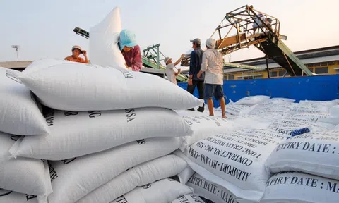 Quy định mới về nhập khẩu gạo, lá thuốc lá khô từ Campuchia năm 2023, 2024