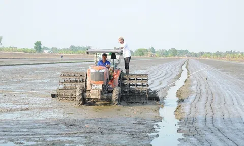 Cánh đồng lúa giảm phát thải đầu tiên xuống giống, khởi động đề án 1 triệu ha lúa chất lượng cao
