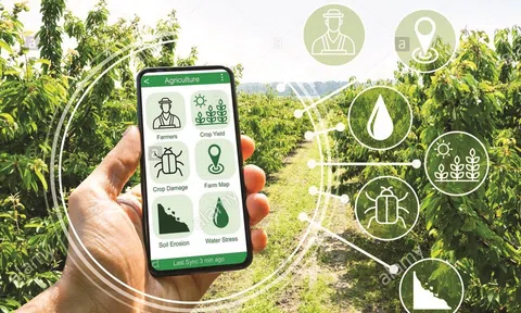 Doanh nghiệp cần xác định những trọng tâm trong chuyển đổi xanh, chuyển đổi số