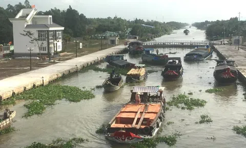 Bạc Liêu dành 21 tỷ đồng ứng phó với hạn, mặn theo kịch bản đã lựa chọn