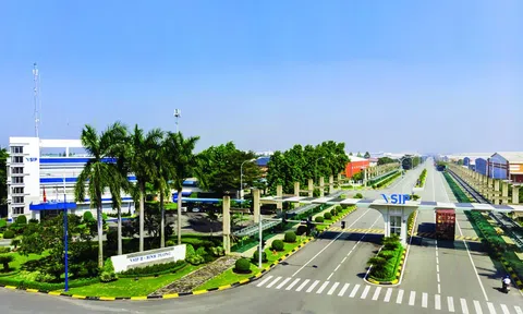 Đẩy mạnh hợp tác đầu tư phát triển năng lượng xanh, bảo vệ môi trường, chống biến đổi khí hậu