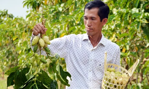 Hỗ trợ doanh nghiệp trẻ khởi nghiệp từ nền tảng khoa học công nghệ và đổi mới sáng tạo